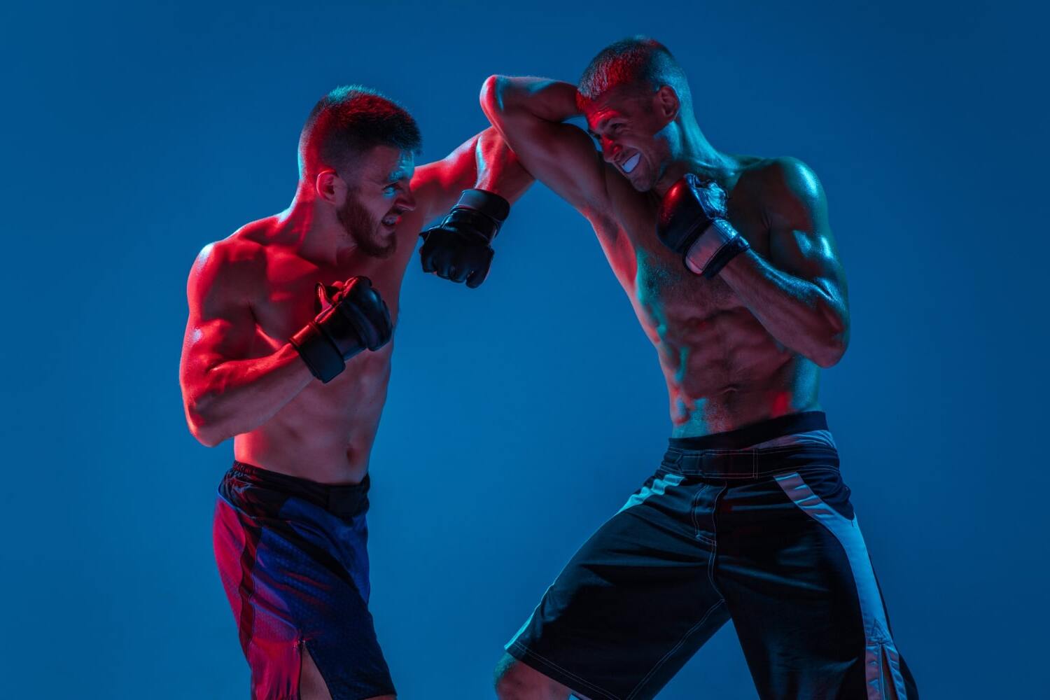 25 Feiten Over Muay Thai