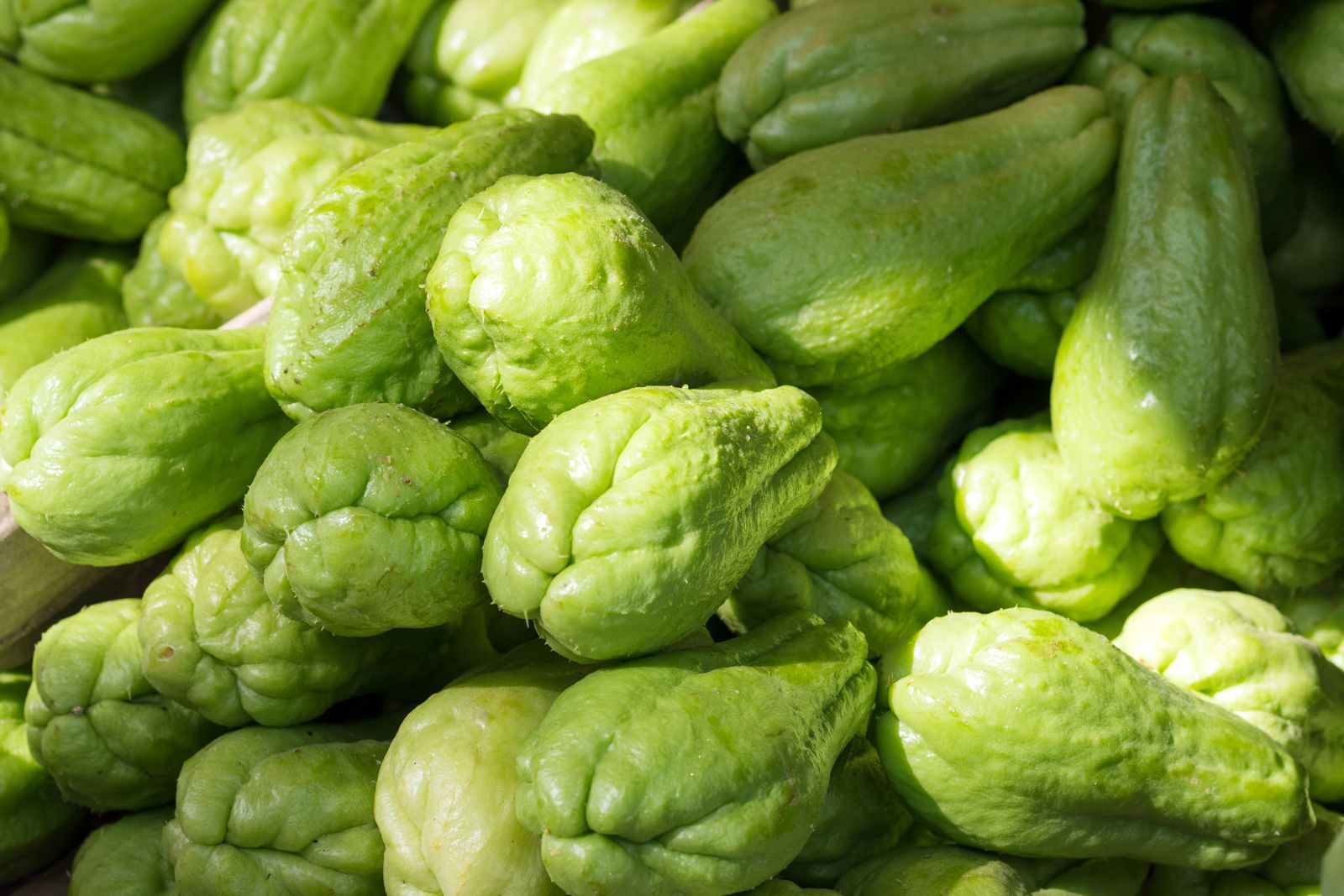 27 Feiten Over Chayote