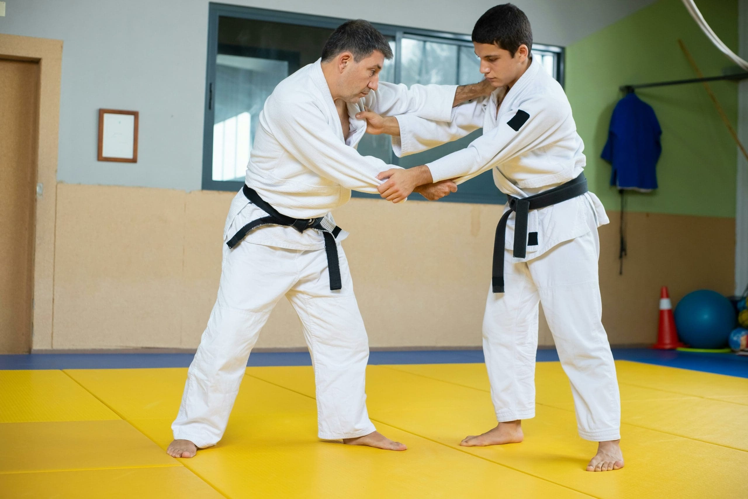 29 Feiten Over Judo
