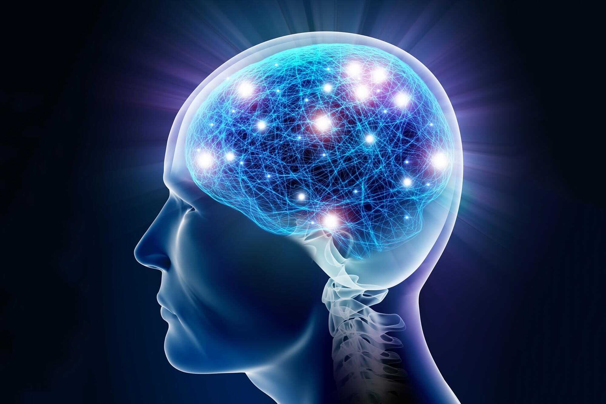 30 Feiten Over Intelligentie
