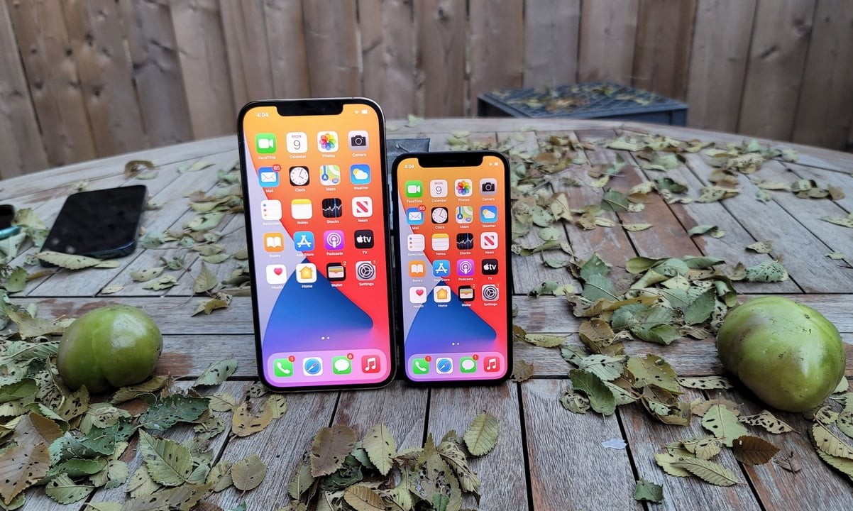 30 Feiten Over IPhone 12 Pro Max