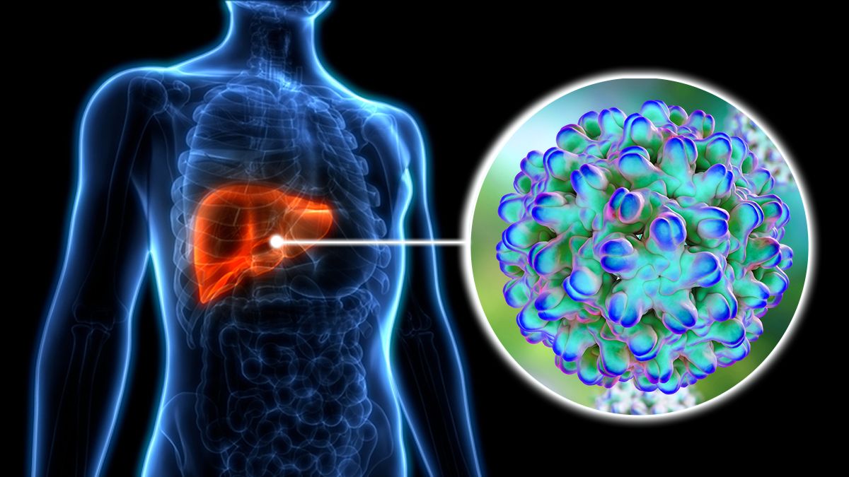 32 Feiten Over Hepatitis