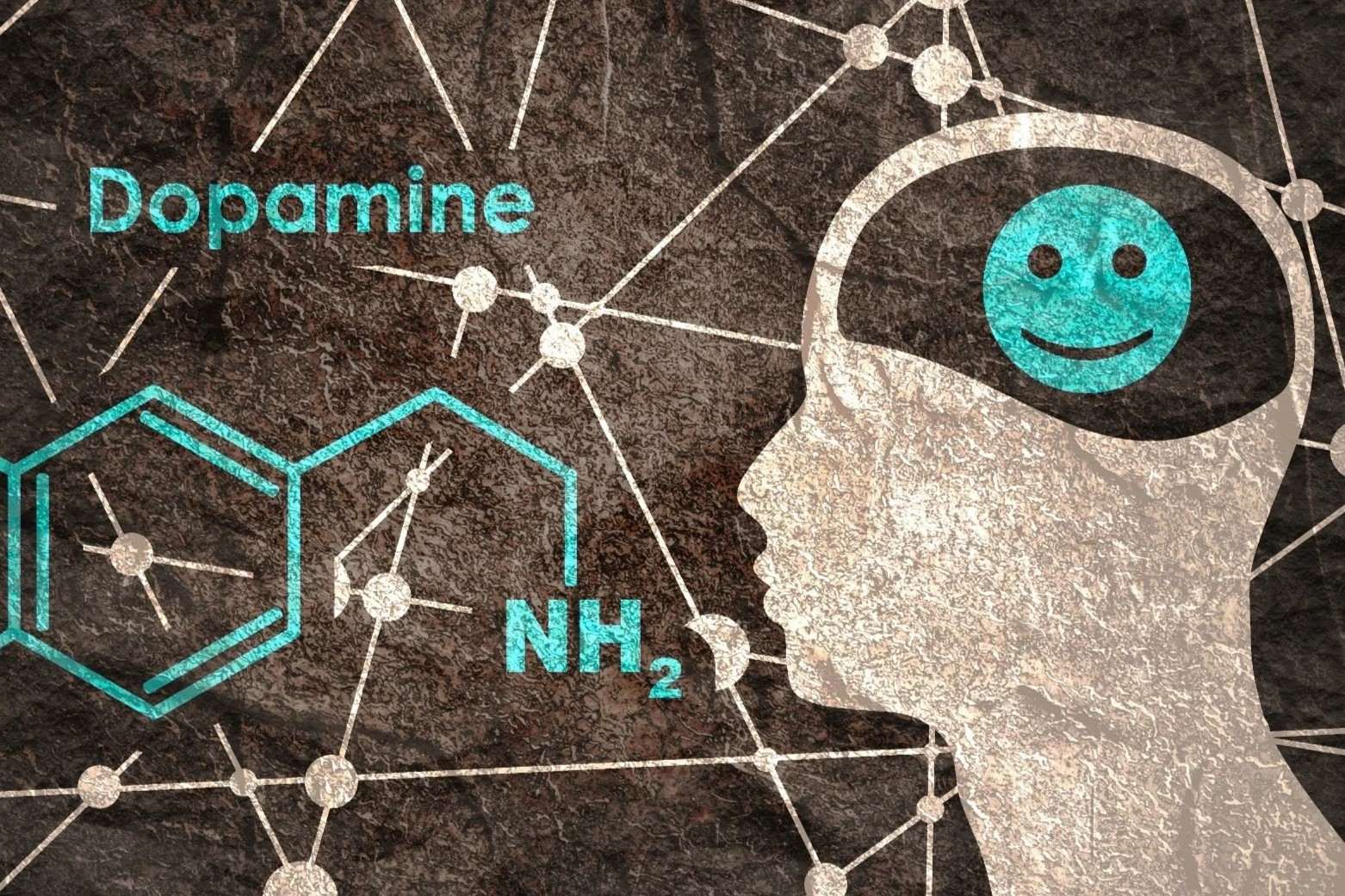 35 Feiten Over Dopamine