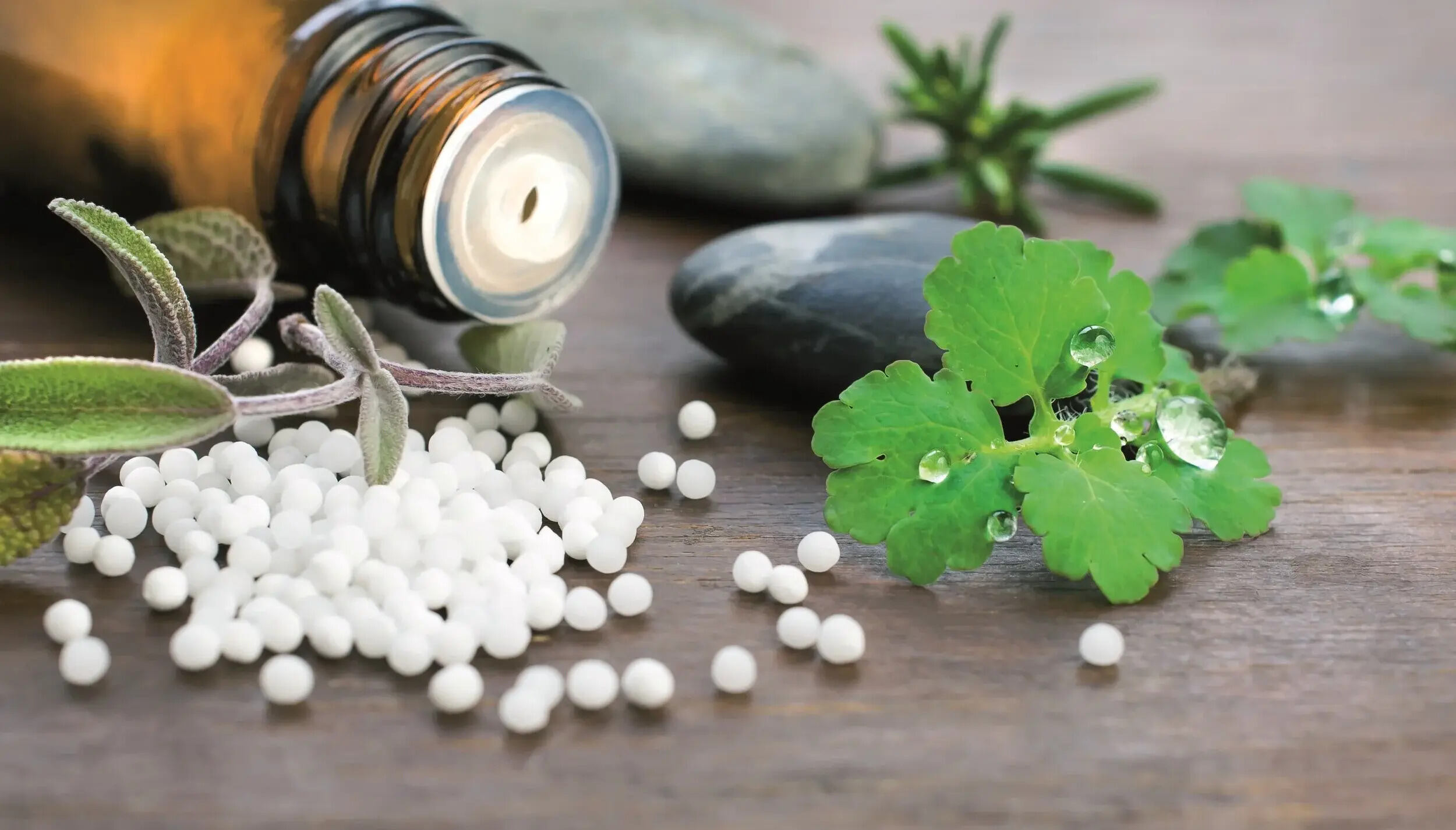 36 Feiten Over Homeopathie